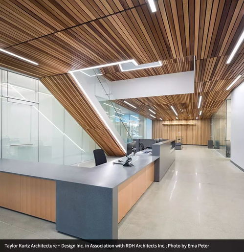 來自木材的靈感 室內(nèi)裝修篇