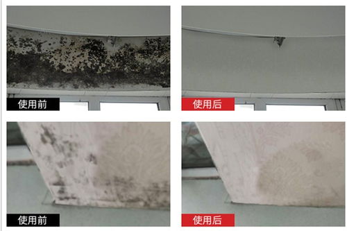 高坪塑料防霉劑廠家直銷室內放置1h